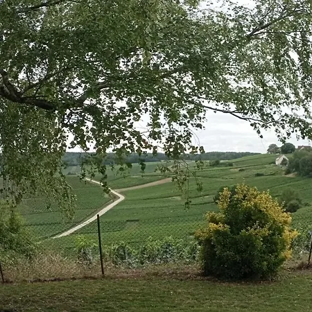 Aux Souvenirs D'antan Сasa de vacaciones Broyes (Marne)